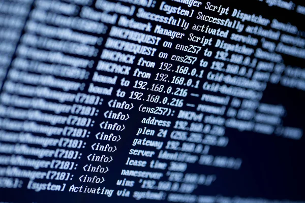 Close-up of a computer screen displaying IP address configuration and network details in a command-line interface.